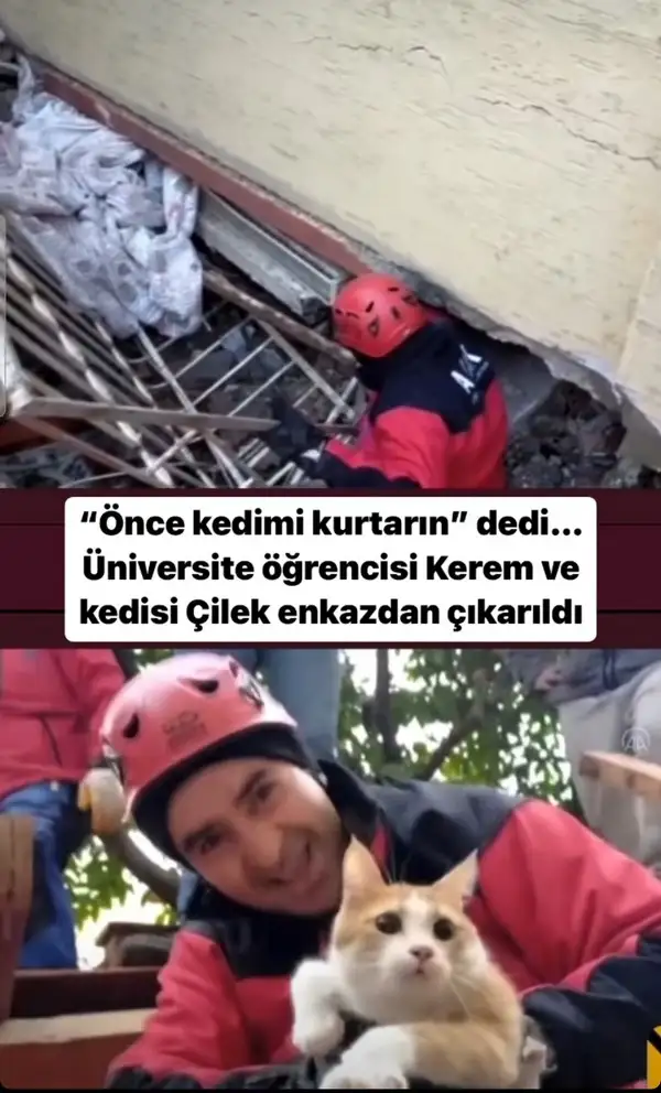 Screenshot_20230208-142240_Instagram.webp