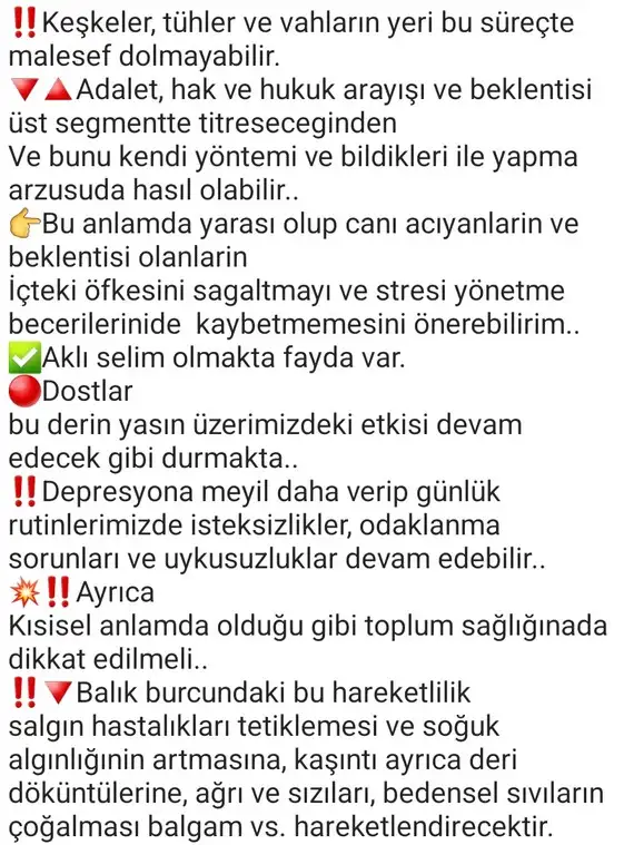 Screenshot_20230219-233956_Instagram.webp