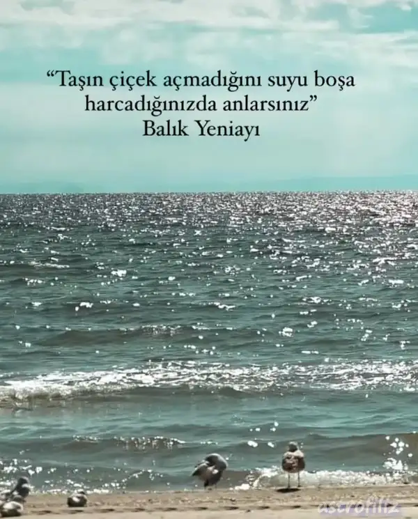 Screenshot_20230220-181427_Instagram.webp