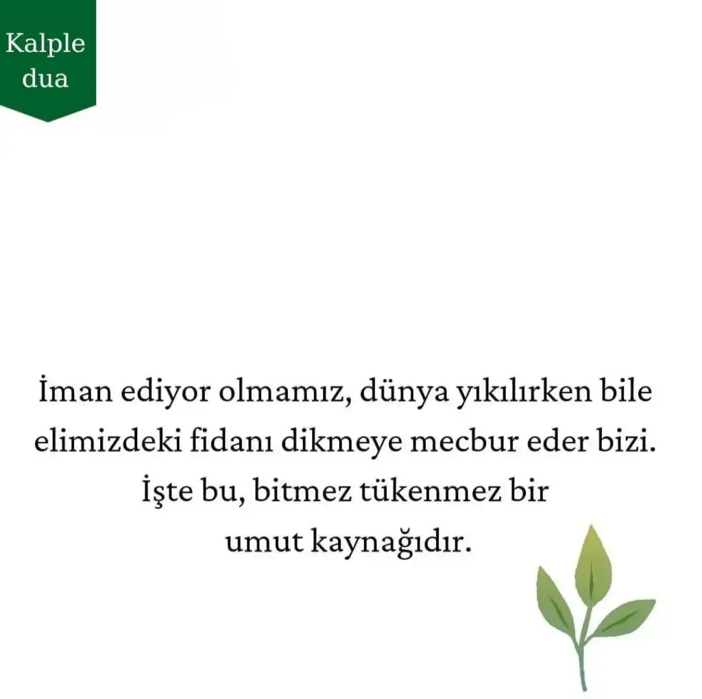 Screenshot_20230224_180236_Instagram.webp