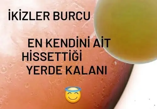 Screenshot_20230301-224329_Instagram.webp