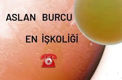 Screenshot_20230301-224336_Instagram.webp
