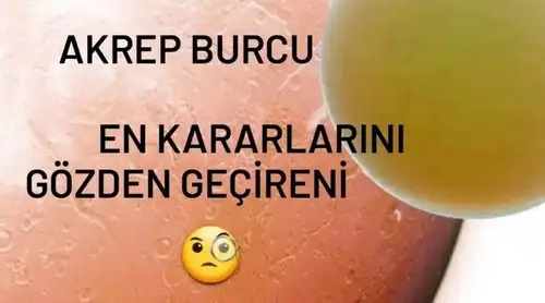 Screenshot_20230301-224352_Instagram.webp