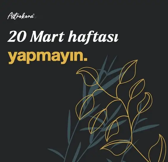 Screenshot_20230318-212749_Instagram.webp