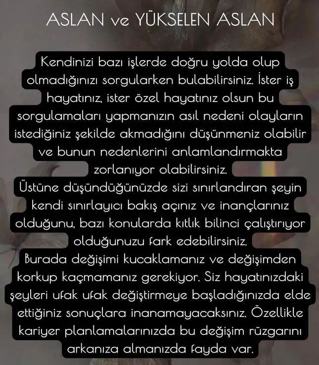 Screenshot_20230328-185223_Instagram.webp
