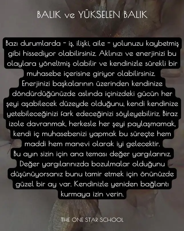 Screenshot_20230328-185336_Instagram.webp