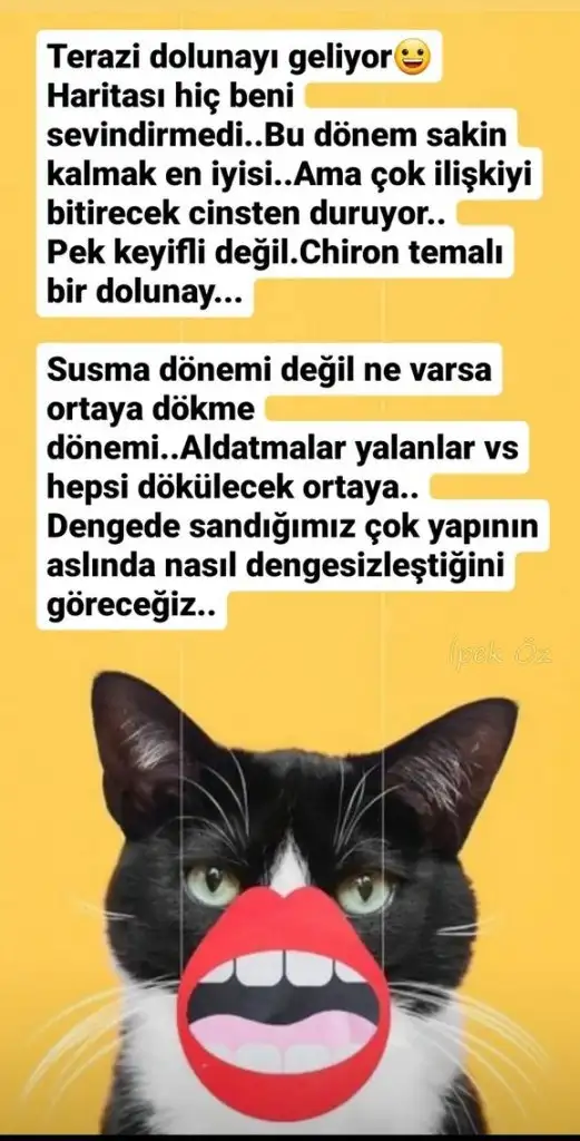 Screenshot_20230402-124451_Instagram.webp