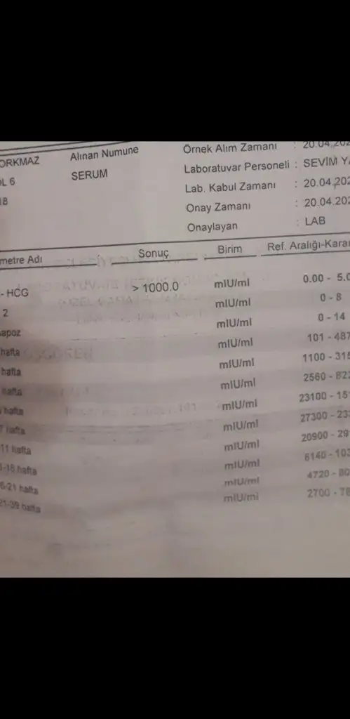 Screenshot_20230422-000802_Gallery.webp