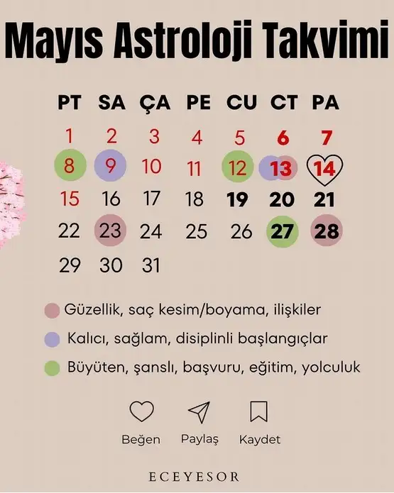 Screenshot_20230424-111033_Instagram.webp