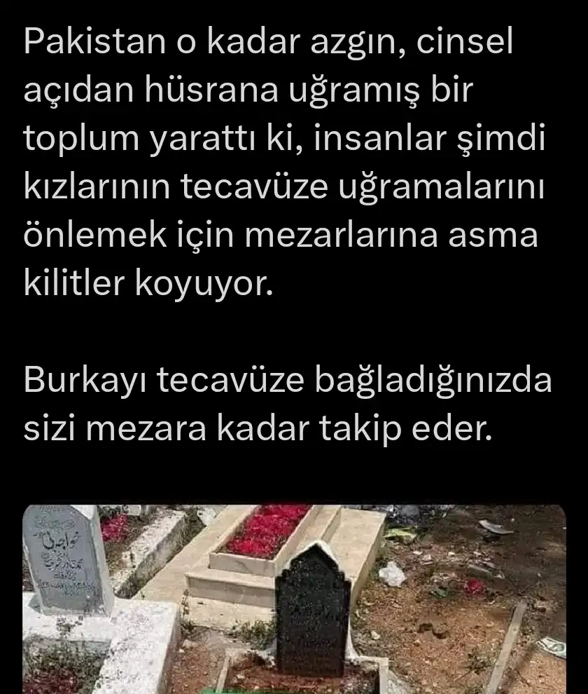 Screenshot_20230426_173416_Twitter.webp