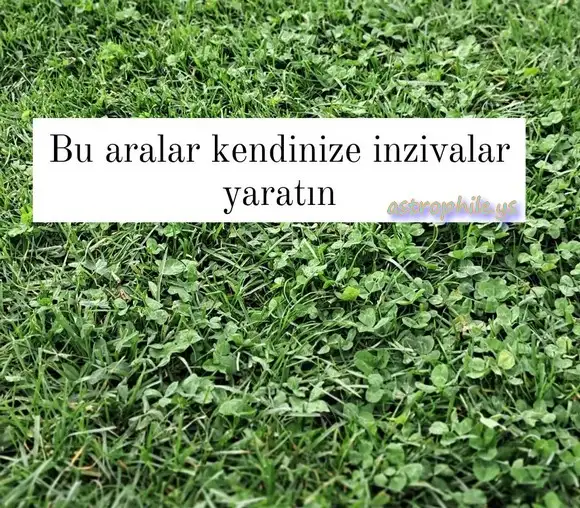 Screenshot_20230505-002818_Instagram.webp