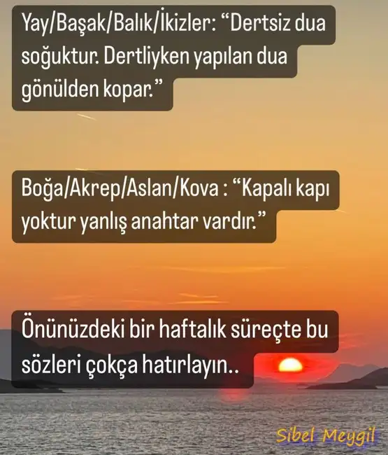 Screenshot_20230525-223847_Instagram.webp