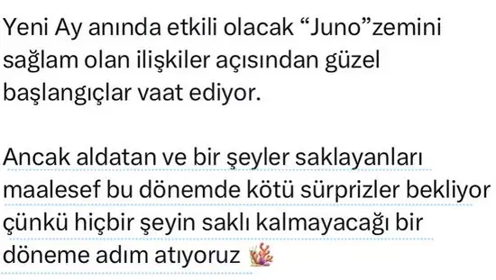 Screenshot_20230614-112104_Instagram.webp