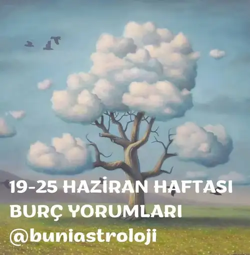 Screenshot_20230617-215010_Instagram.webp