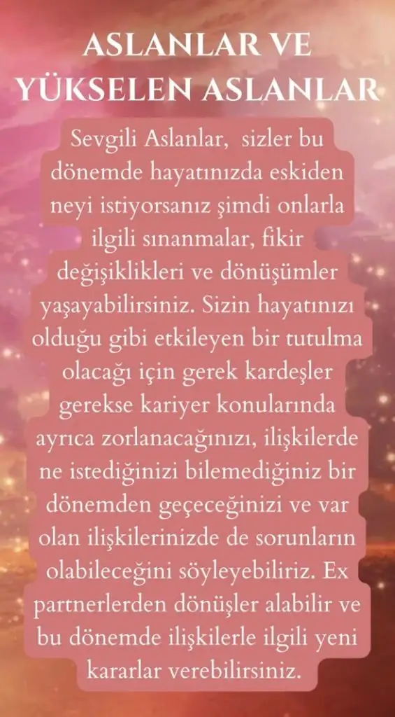 Screenshot_20230719-100456_Instagram.webp