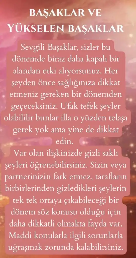 Screenshot_20230719-100511_Instagram.webp