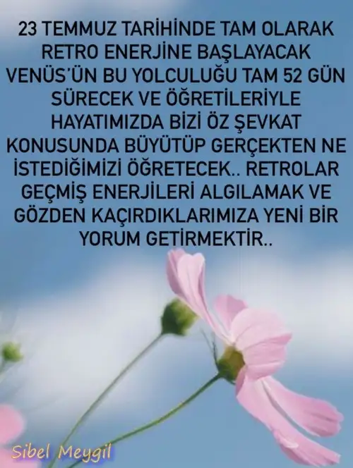 Screenshot_20230720-004623_Instagram.webp