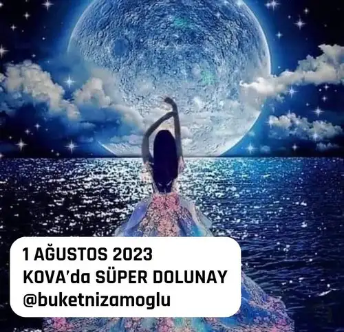 Screenshot_20230727-130311_Instagram.webp