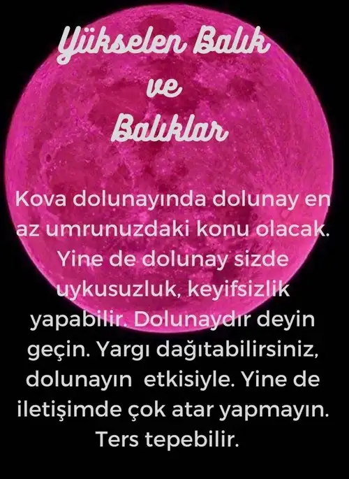 Screenshot_20230727-232316_Instagram.webp