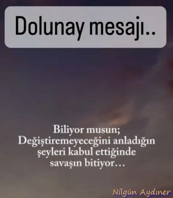 Screenshot_20230729-221106_Instagram.webp