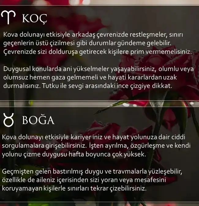 Screenshot_20230730-162659_Instagram.webp