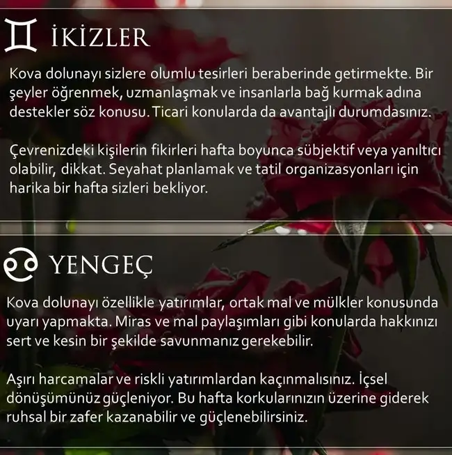 Screenshot_20230730-162714_Instagram.webp