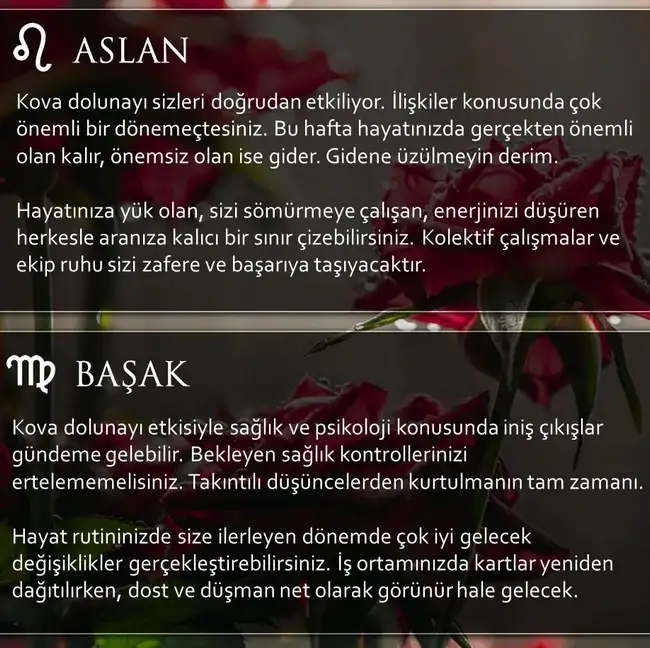 Screenshot_20230730-163703_Instagram.webp
