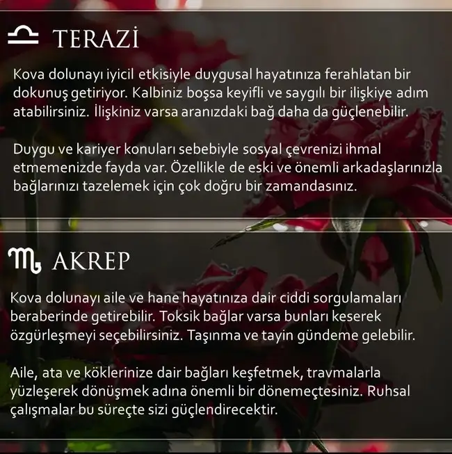 Screenshot_20230730-163718_Instagram.webp
