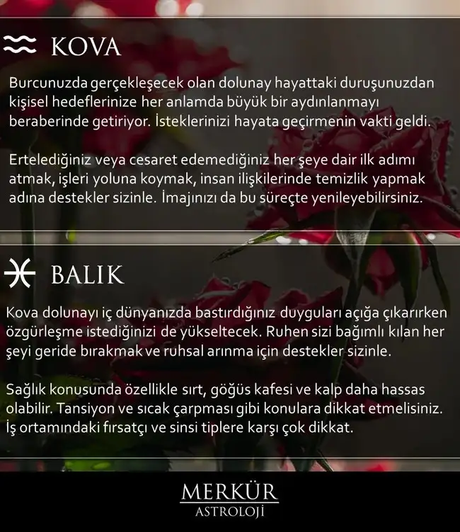 Screenshot_20230730-163734_Instagram.webp