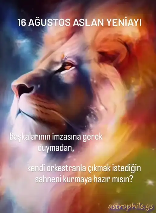 Screenshot_20230816-200419_Instagram.webp
