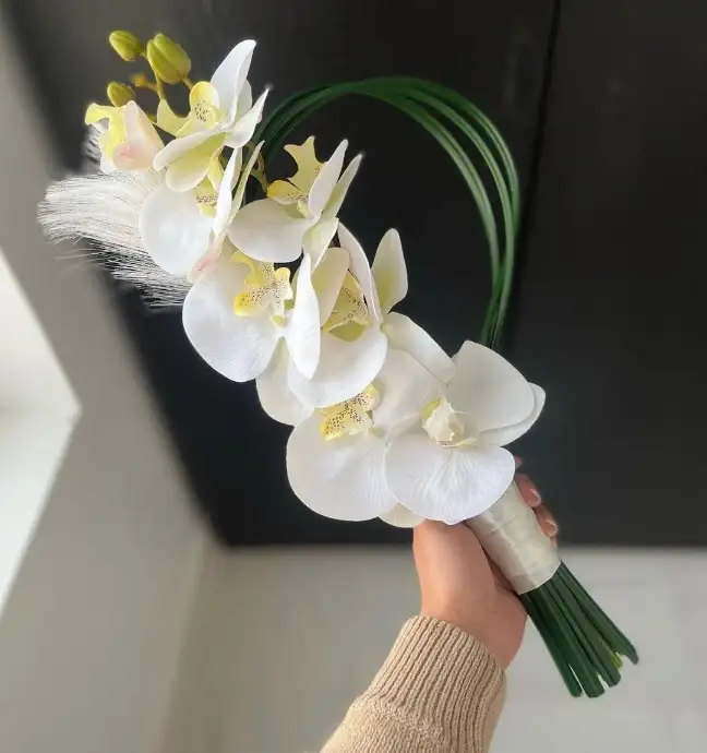 Screenshot_20230827-224614_Instagram.webp