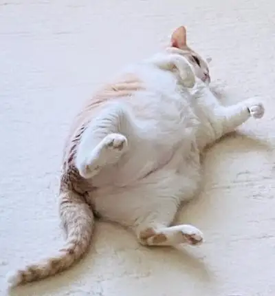Screenshot_20230828-194928_Instagram.webp