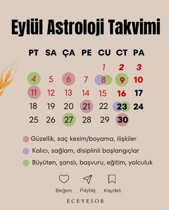 Screenshot_20230828-222848_Instagram.webp