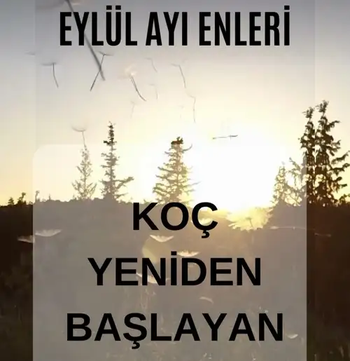 Screenshot_20230902-230909_Instagram.webp