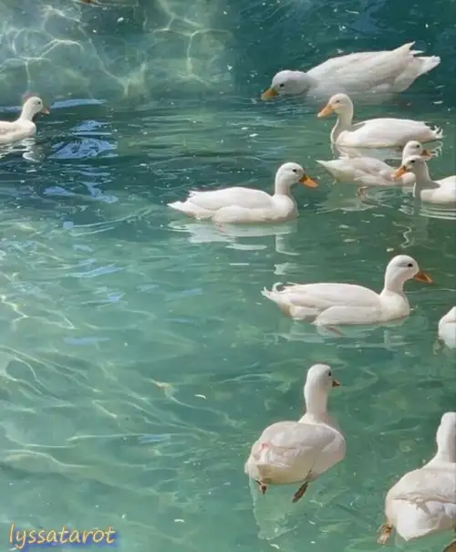 Screenshot_20230913-231608_Instagram.webp