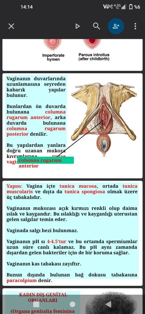 Screenshot_20230918_141439455_Slaytlar.webp