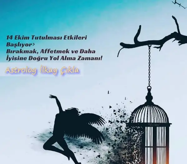Screenshot_20230921-141515_Instagram.webp