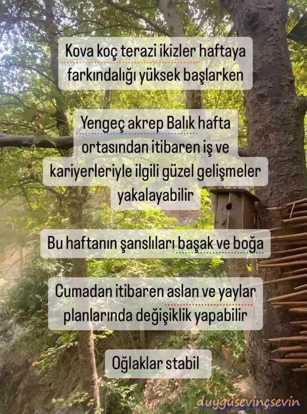Screenshot_20230925-105500_Instagram.webp