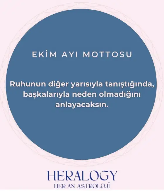 Screenshot_20231001-195351_Instagram.webp