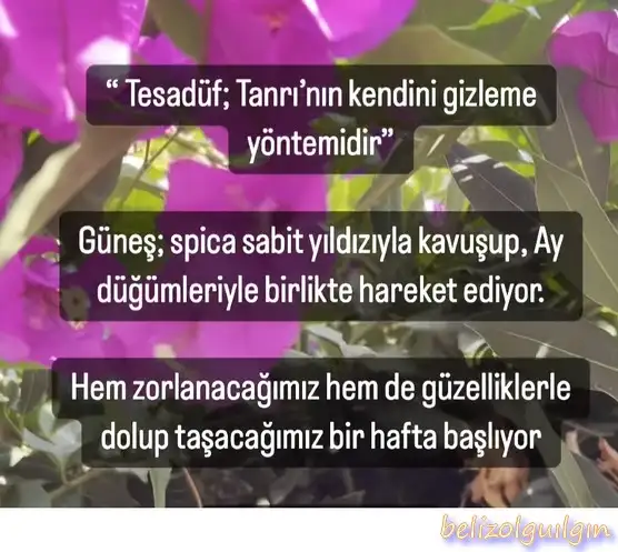 Screenshot_20231016-095223_Instagram.webp