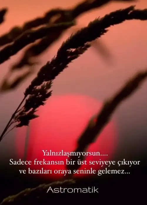 Screenshot_20231016-220547_Instagram.webp