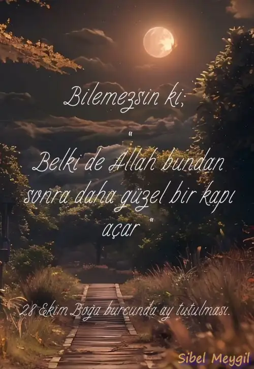Screenshot_20231023-162858_Instagram.webp