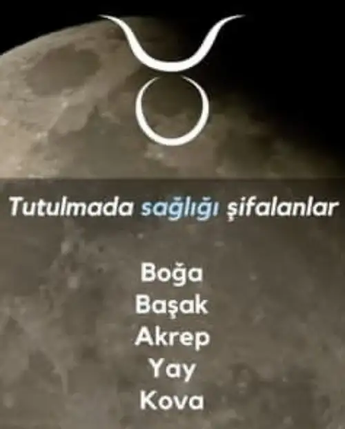 Screenshot_20231027-083215_Instagram.webp