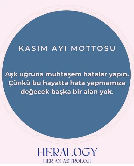 Screenshot_20231031-160357_Instagram.webp