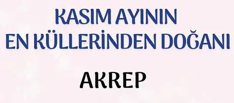 Screenshot_20231101-112155_Instagram - Kopya.webp