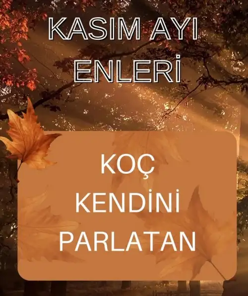 Screenshot_20231102-210349_Instagram.jpg
