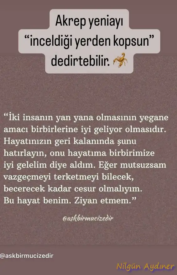 Screenshot_20231111-104847_Instagram.webp