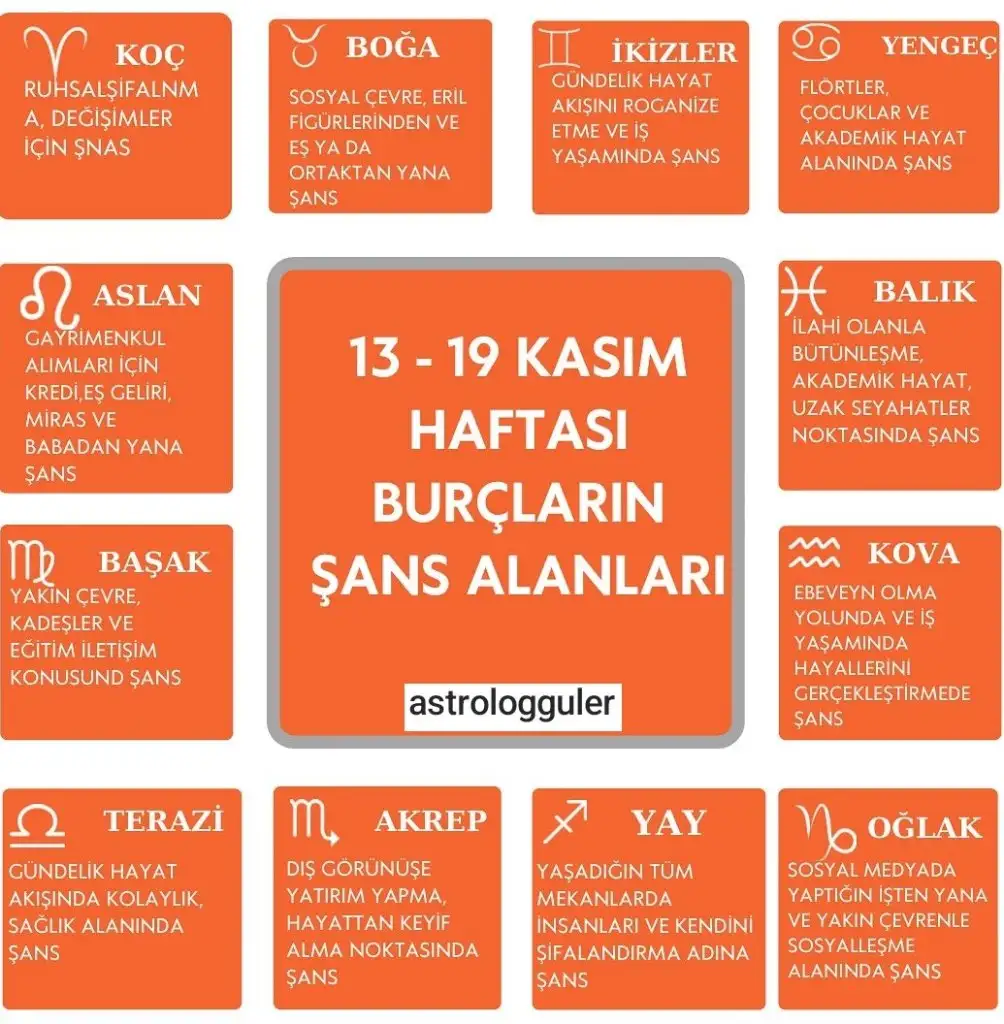 Screenshot_20231113-222119_Instagram.webp