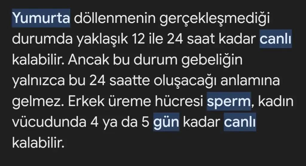 Screenshot_20231123_153716_Chrome.webp