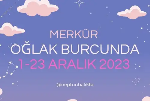 Screenshot_20231129-204401_Instagram.webp